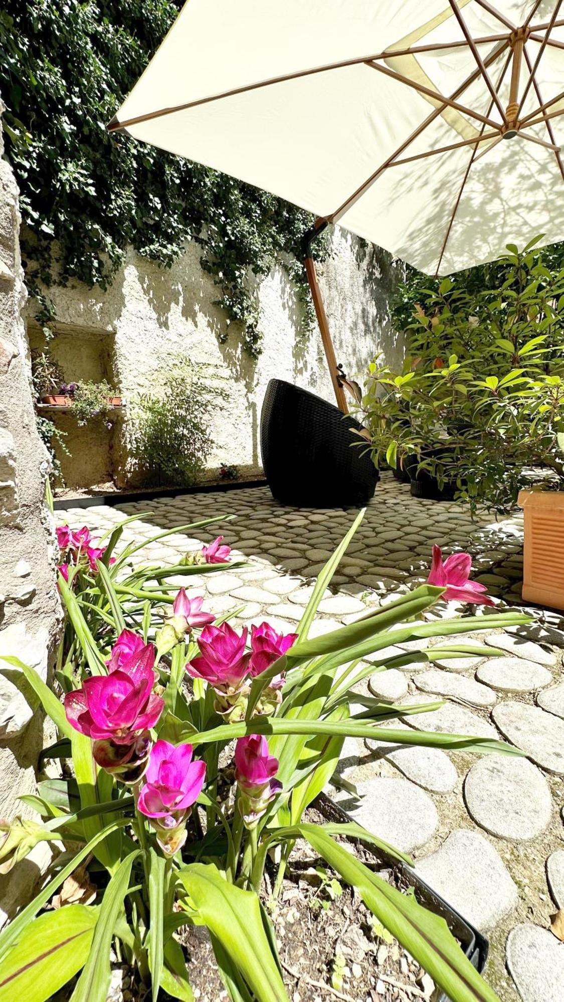 Appartement Borgo Dei Sogni à San Felice del Benaco Extérieur photo